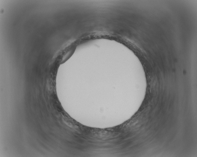 X0000067951207200605112116