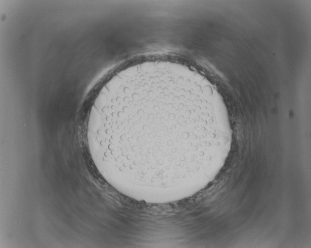 X0000067951208200605112116