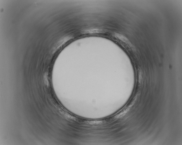 X0000067951209200605112116