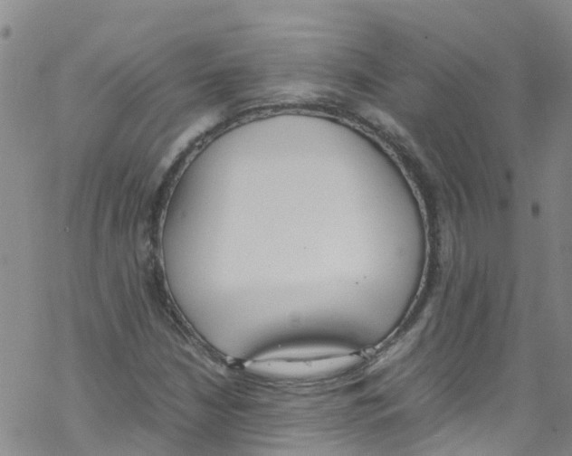 X0000067951210200605112117