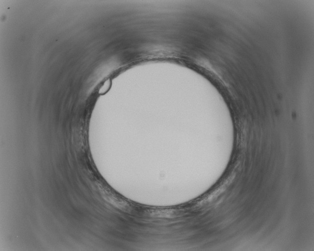 X0000067951211200605112117