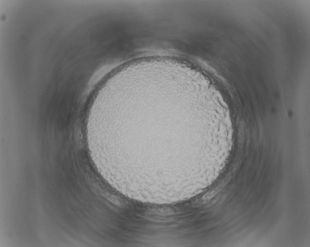 X0000067951215200605112117