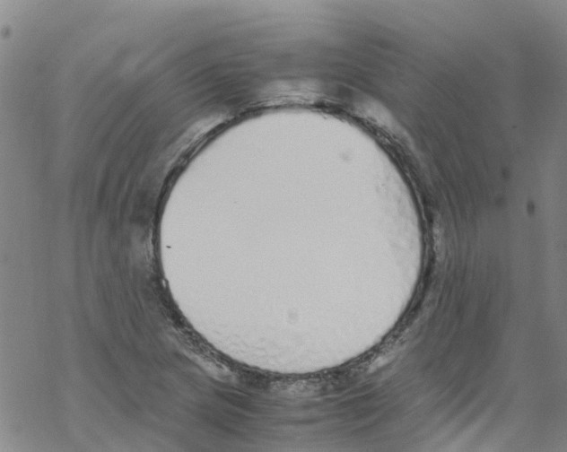 X0000067951217200605112117