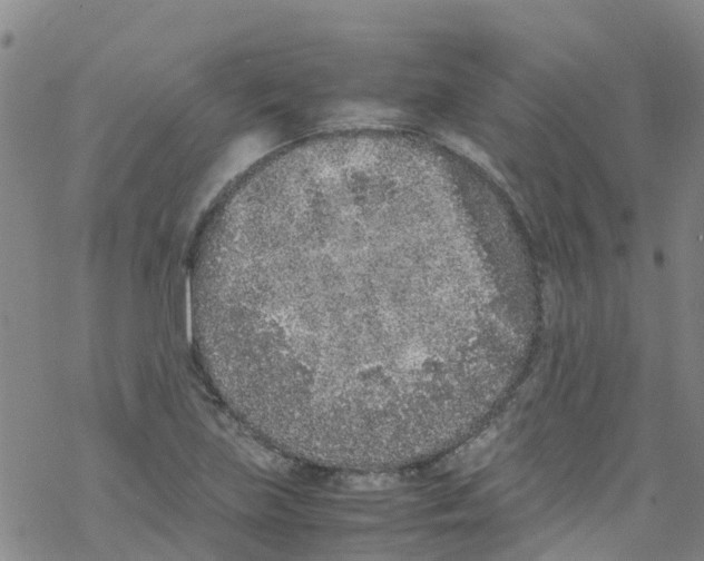 X0000067951219200605112117