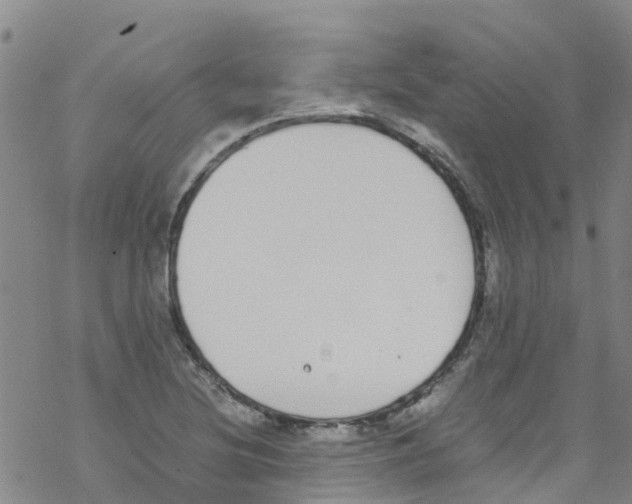 X0000067951220200605112117