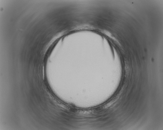 X0000067951221200605112117