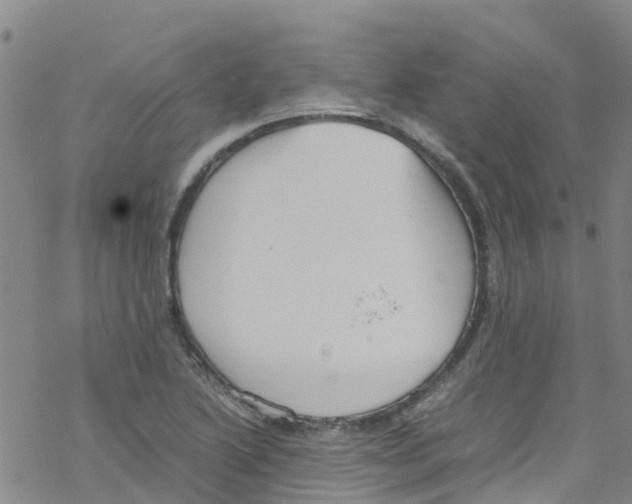 X0000067951222200605112117