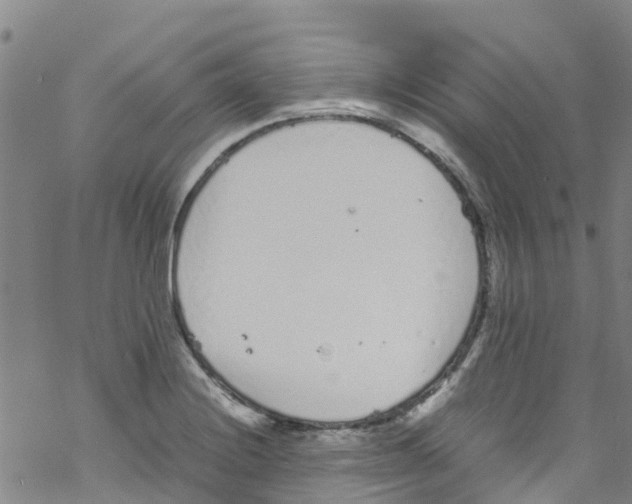 X0000067951228200605112117