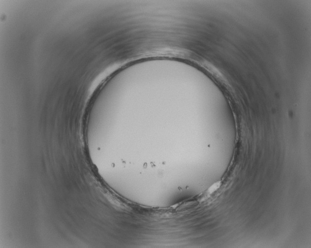 X0000067951230200605112117