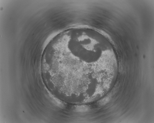 X0000067951231200605112117