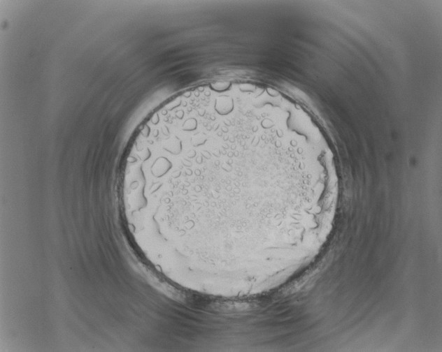 X0000067951235200605112117