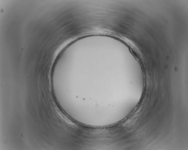 X0000067951238200605112117