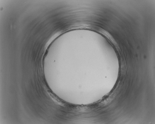 X0000067951242200605112117