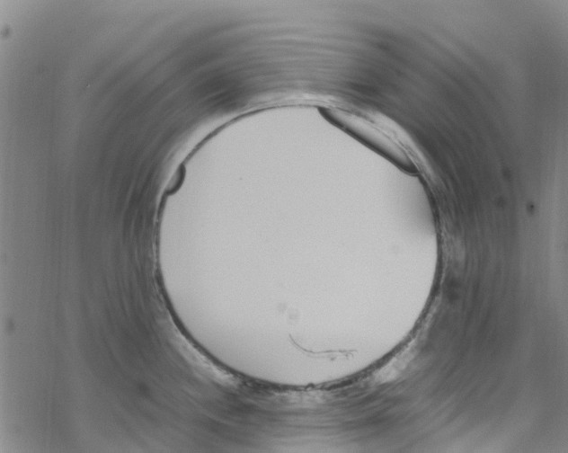 X0000067951244200605112117