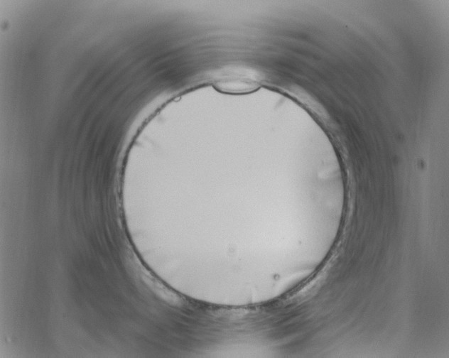 X0000067951248200605112117