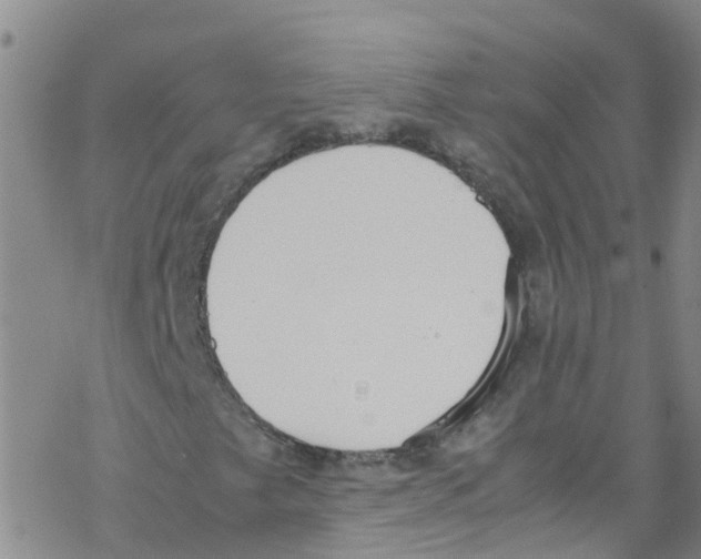 X0000067951249200605112116