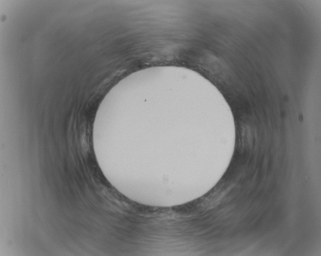 X0000067951250200605112116