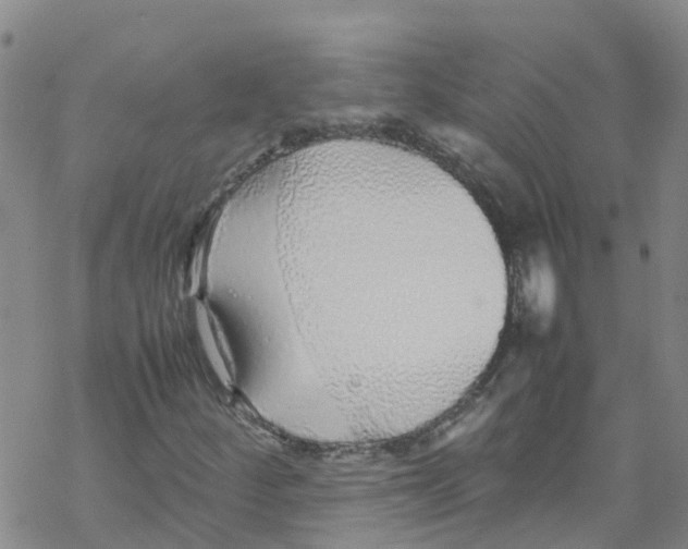 X0000067951252200605112116