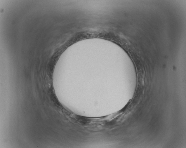 X0000067951253200605112116