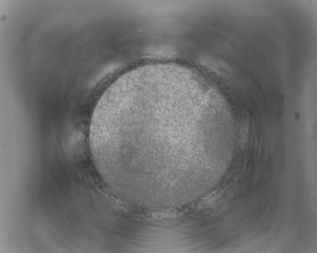 X0000067951254200605112116