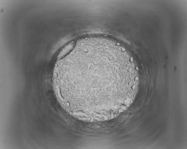 X0000067951255200605112116