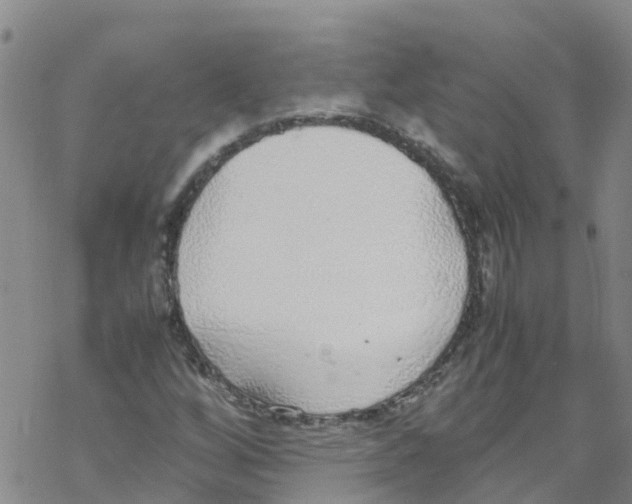 X0000067951256200605112116