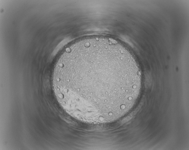 X0000067951259200605112116