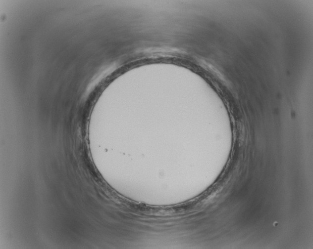 X0000067951261200605112116