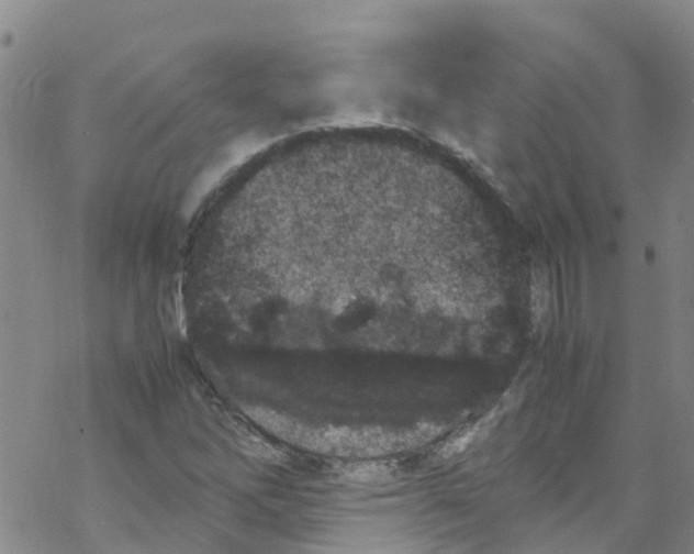 X0000067951262200605112116