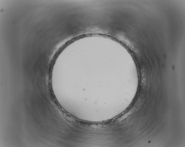 X0000067951264200605112116