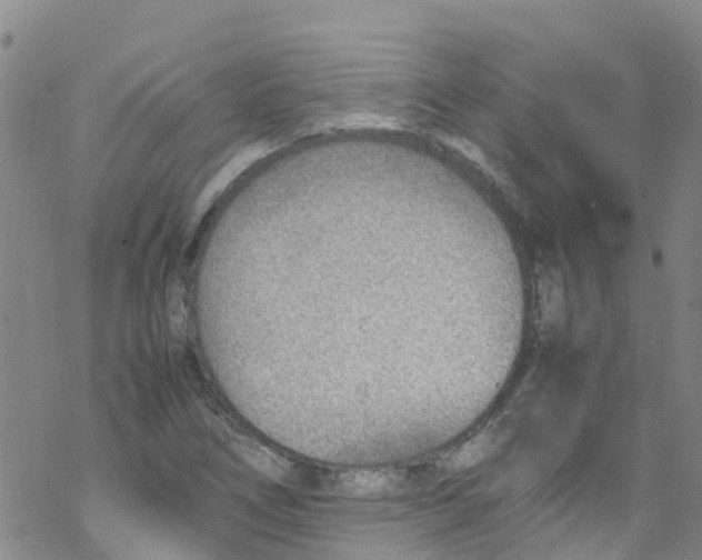 X0000067951266200605112116