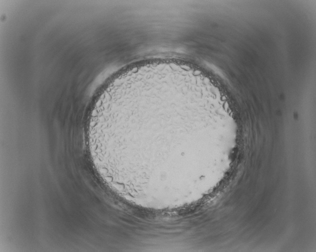 X0000067951267200605112116