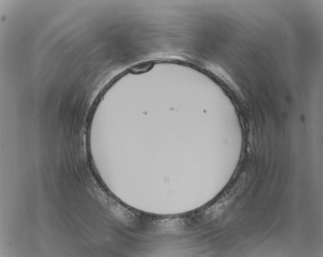 X0000067951268200605112116