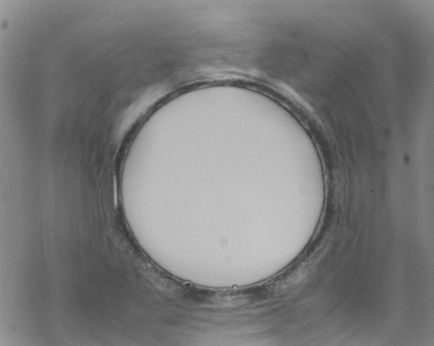 X0000067951269200605112116