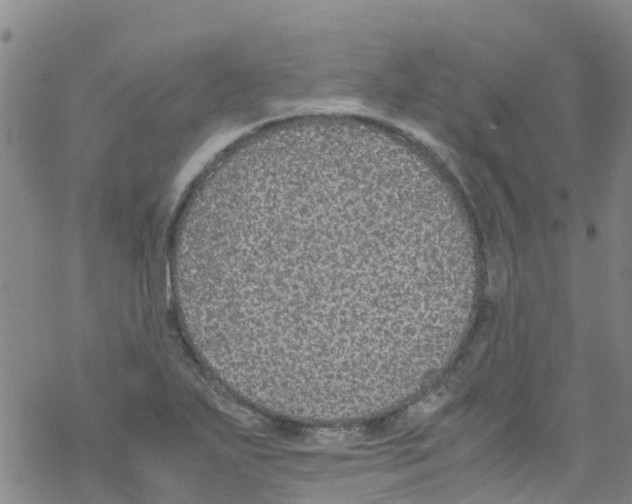 X0000067951271200605112116