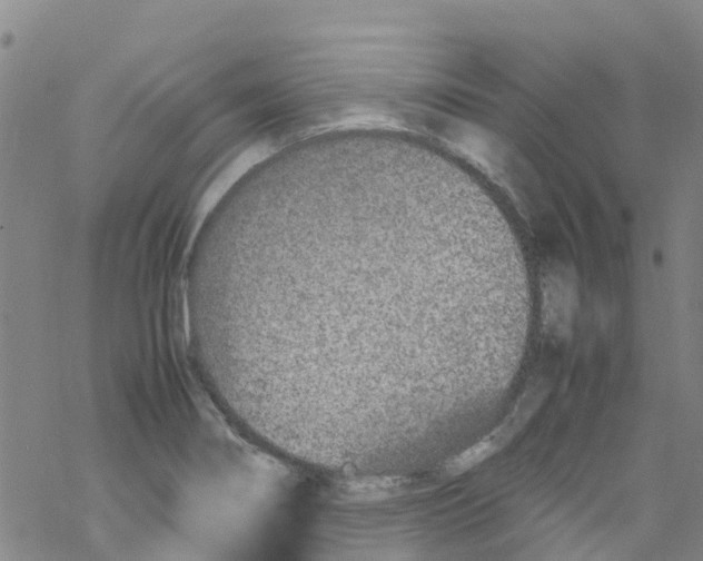 X0000067951274200605112116