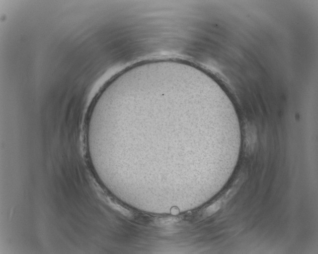 X0000067951278200605112116