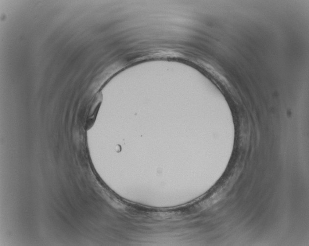 X0000067951281200605112116