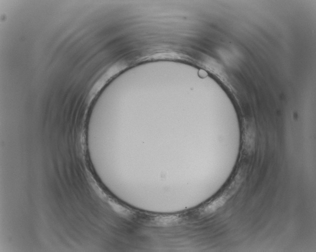 X0000067951282200605112116