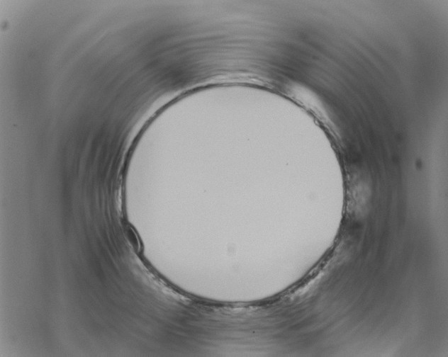 X0000067951284200605112116