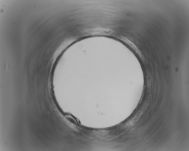 X0000067951285200605112116