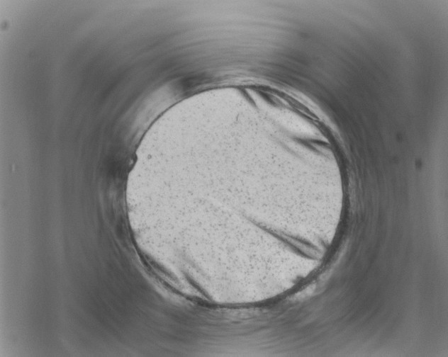 X0000067951289200605112116