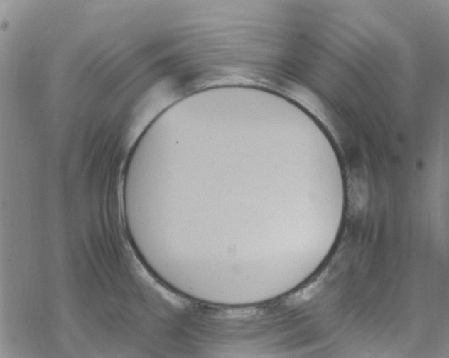 X0000067951290200605112116