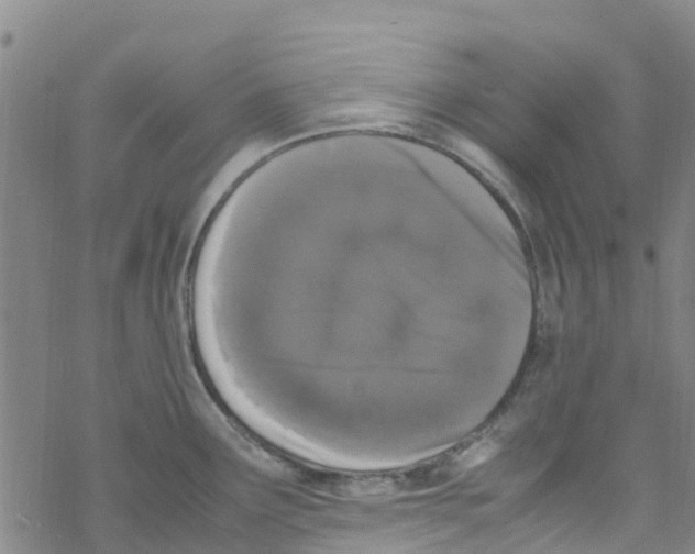 X0000067951291200605112116