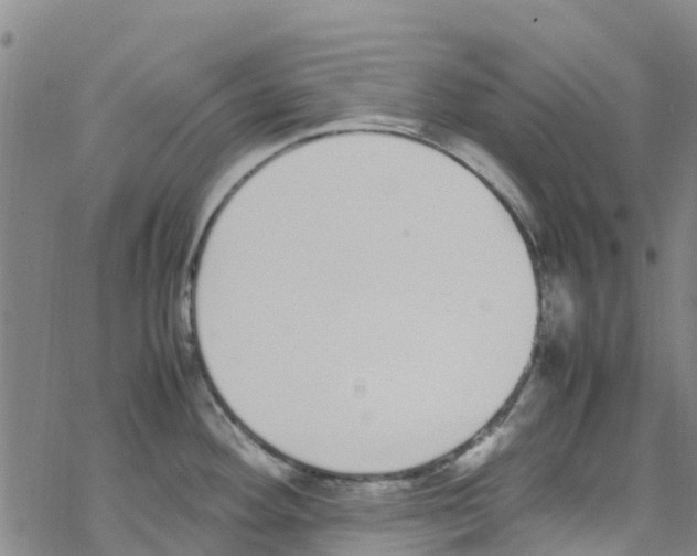 X0000067951292200605112116