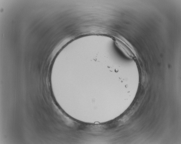 X0000067951293200605112116