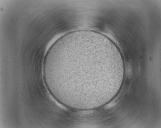 X0000067951294200605112116