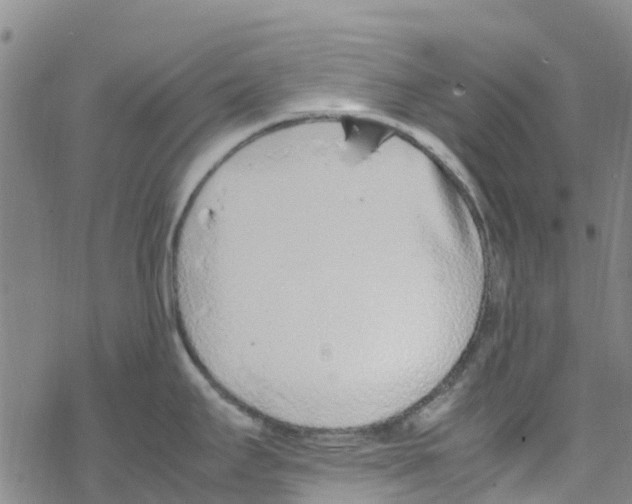 X0000067951295200605112116