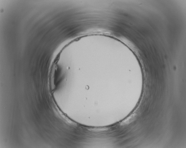 X0000067951296200605112116