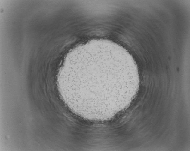 X0000067951297200605112115